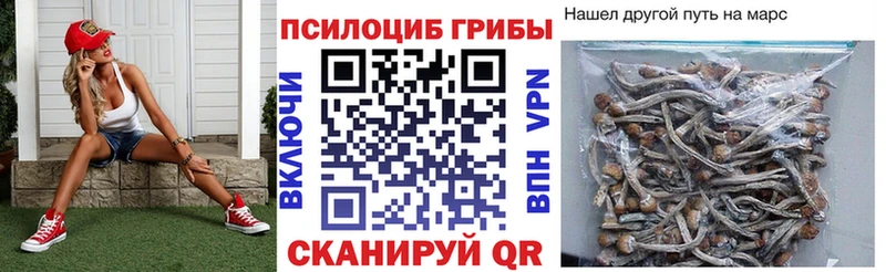 закладки Вяземский Псилоцибиновые грибы ЛСД